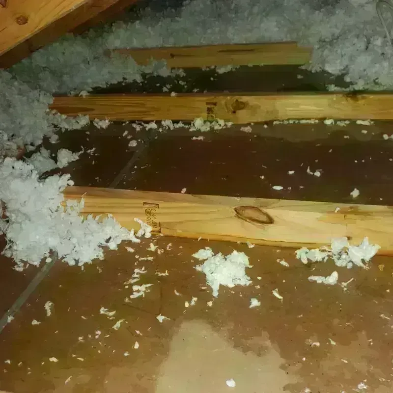 Attic Water Damage in Sherman County, KS