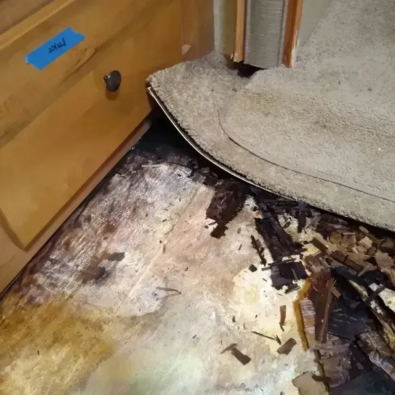 Best Wood Floor Water Damage Service in Sherman County, KS